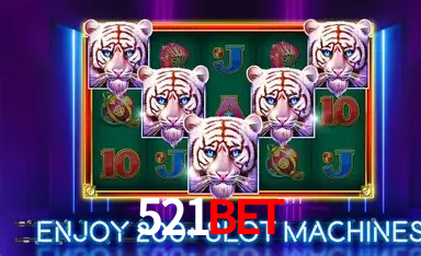 A Emoção da Loteria na 521bet: Uma Chance de Mudança de Vida